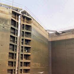 Rosie was perturbed that we'd be collected by the gate, but this was by prior arrangement