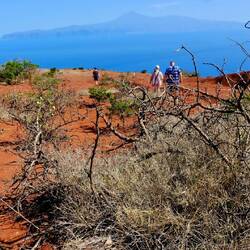 Ab durch die Wüste.