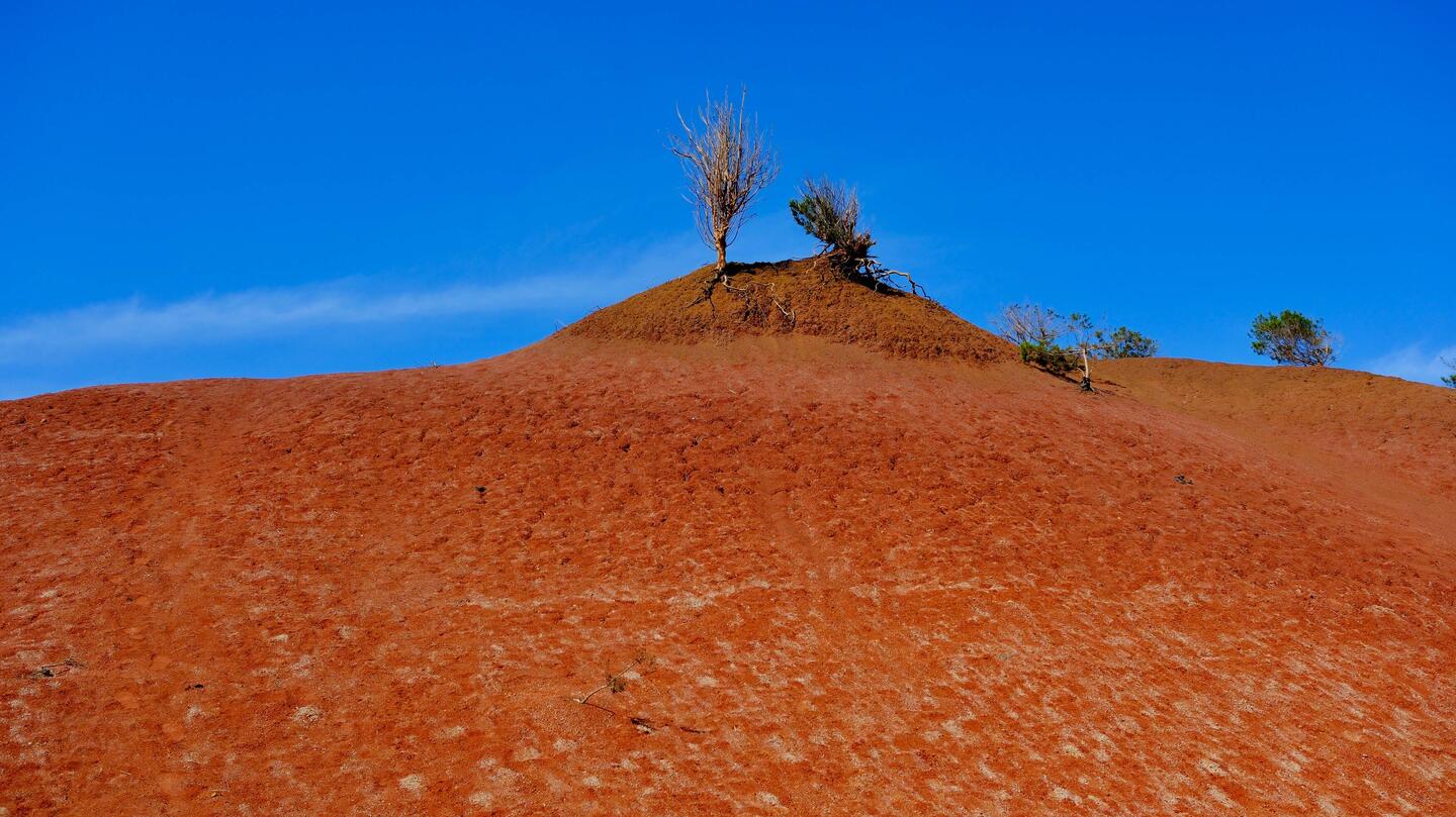 Namibia? Mars? Nein - La Gomera !!!