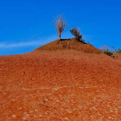 Namibia? Mars? Nein - La Gomera !!!