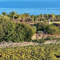 Blick von unserem Garten auf das Meer.