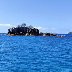 Und genau hier war er dann, der Hai🦈😳