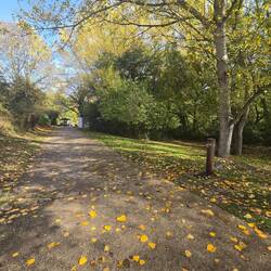 Finally a public bathroom and fountain!