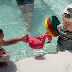 Samsi is Profi im neue Freunde finden