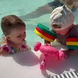 mein Flamingo, dein Flamingo