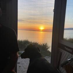 ..auch Lesley ist ein voller Genießer und schaut oft ewig lang wenn ihr etwas gefällt 🐾🥰