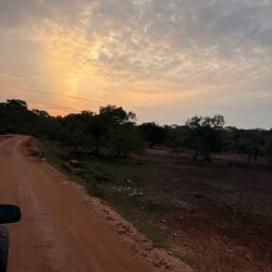 Sunrise Safari - Yala NP