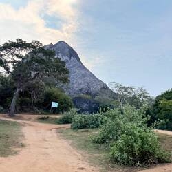 Pride Rock (Lion King ?)