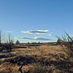 Der Kranich fliegt davon.