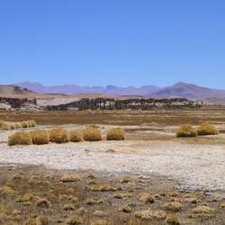 Back in the United States 🇺🇸