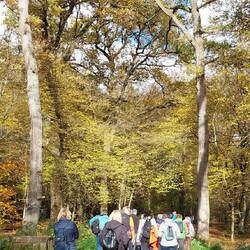 20 Personen starten in die Wahner Heide!