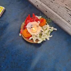 The flower and candle