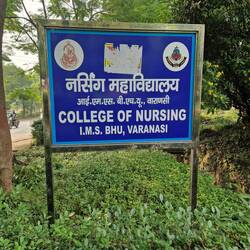 Nursing Faculty at the University