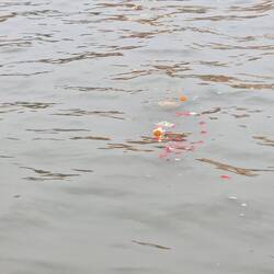 The flower and paper disintegrated but the flame continued ...very poignant