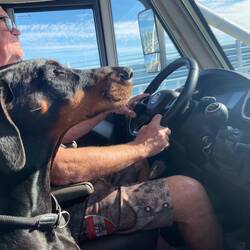 ❤️ lieb die zwei ❤️