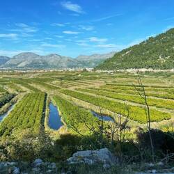 Alle möglichen Felder so weit das Auge reicht