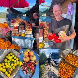 WOW! So süße Mandarinen habe ich noch nie gegessen. Gestern erst gepflückt und ungespritzt👌🏻😋