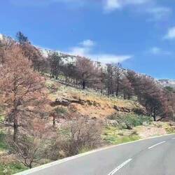 ..Waldbrände haben Spuren hinterlassen 🥲