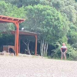 Immer wieder kommt jemand zum Schwimmen, Tauchen oder Fischen her. Im Sommer ist hier sicher voll ☺️