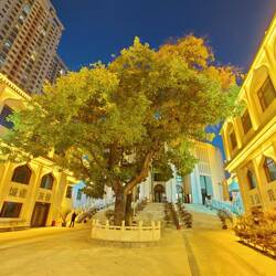 Innenhof der Moschee