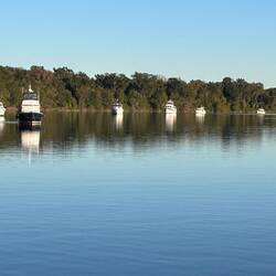 The flotilla floats peacefully at anchorage in the Tensaw River