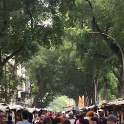 sonntag ist wie immer markttag