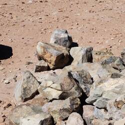 Er findet den Anden Hasen (Viscacha)