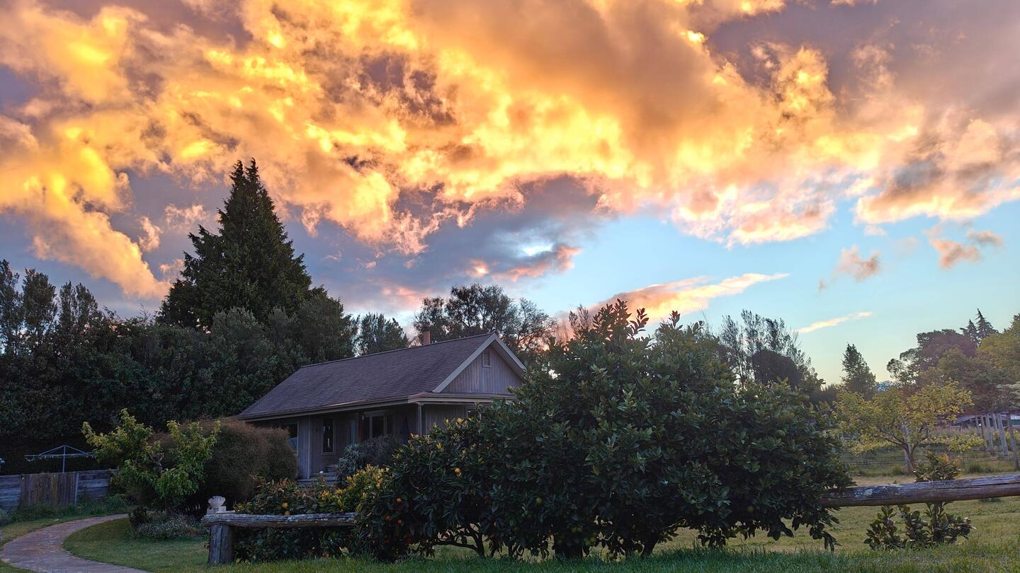 Das Farmhaus / No Filter