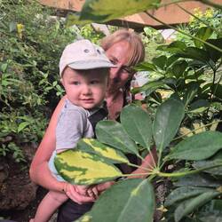 im Schmetterlingshaus