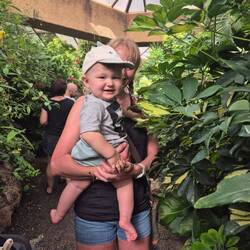 sooo viele Pflanzen 😍