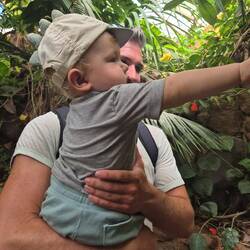 Papa da hin will ich!