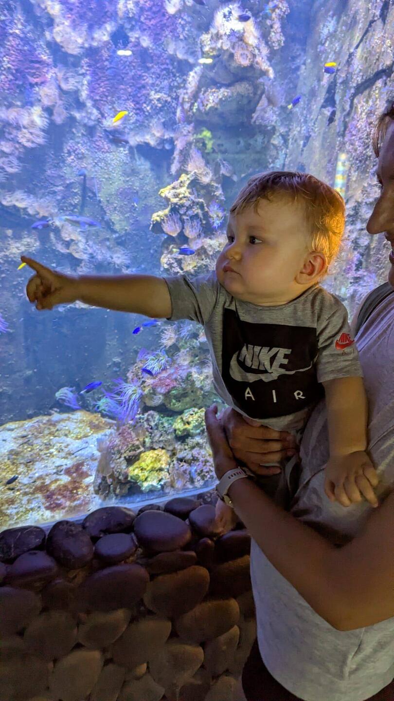 zum nächsten Aquarium bitte