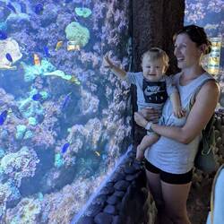 alles so schön bunt 😊