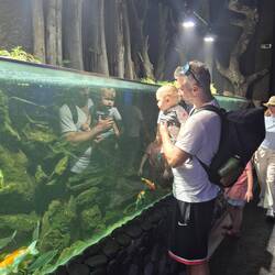 bissi Spiegel ists auch