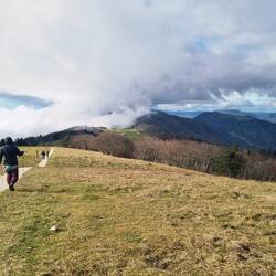 Weiter zum Weissenstein