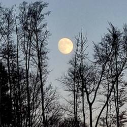 ... und schon bald ist Vollmond!
