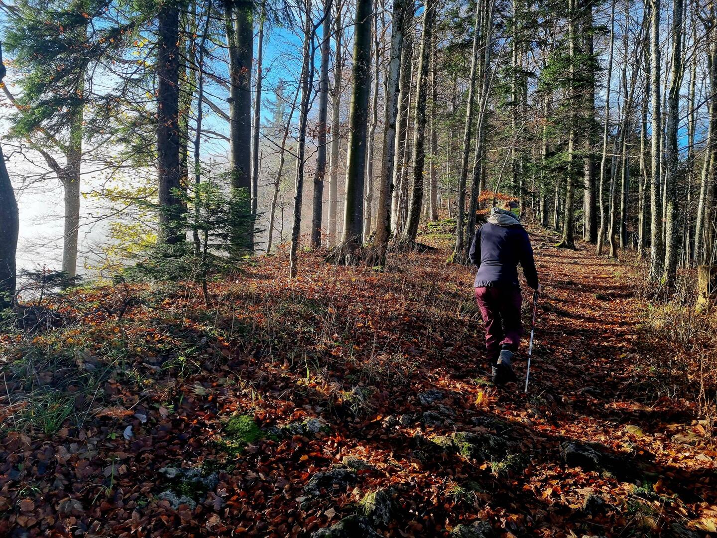 Der Nebel treibt uns höher!😉