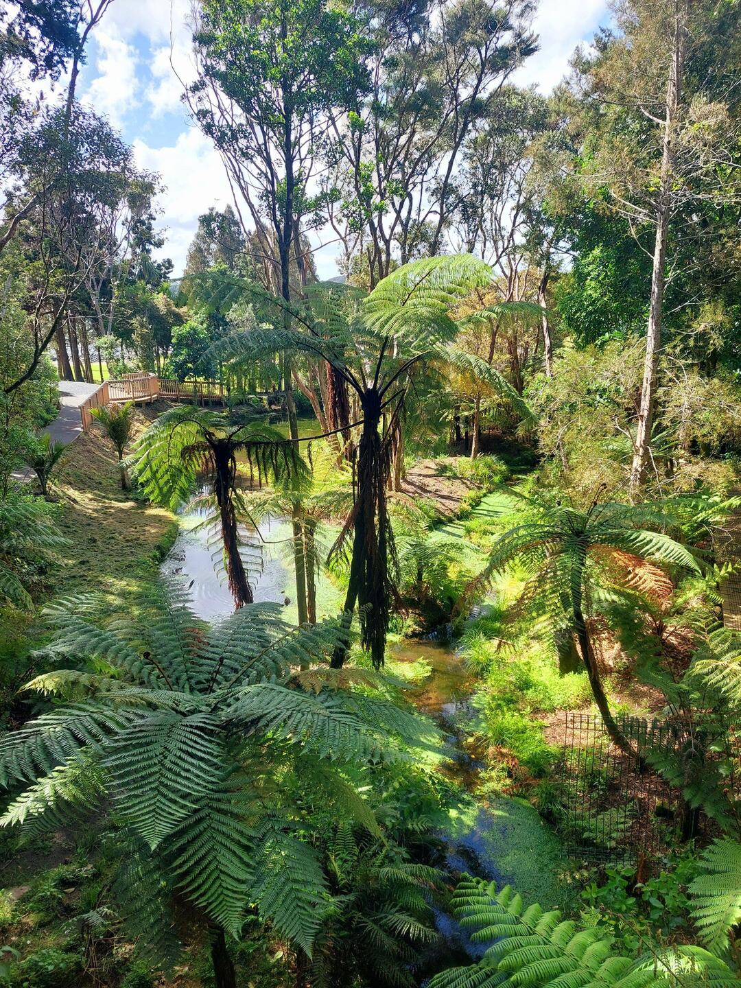 Das Gelände des Waitangi Treaty Grounds