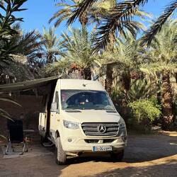 Unser Stellplatz unter Dattelpalmen - ist das nicht ein Traum?