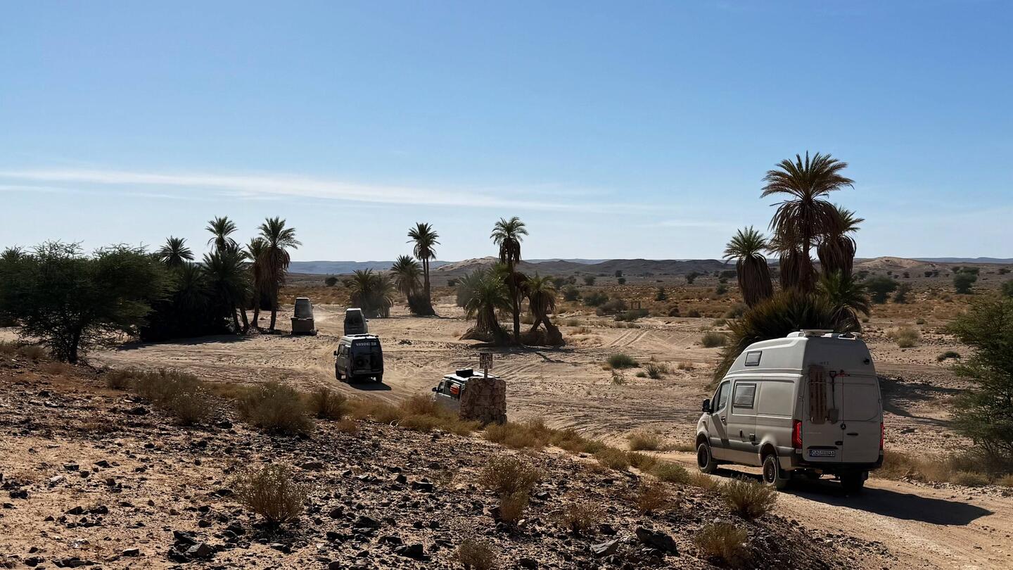 Unser heutiger Streckenabschnitt bietet Sandabschnitte, Palmen ...