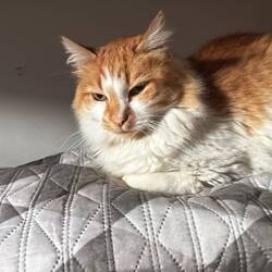 meine Alcachofa 🥹