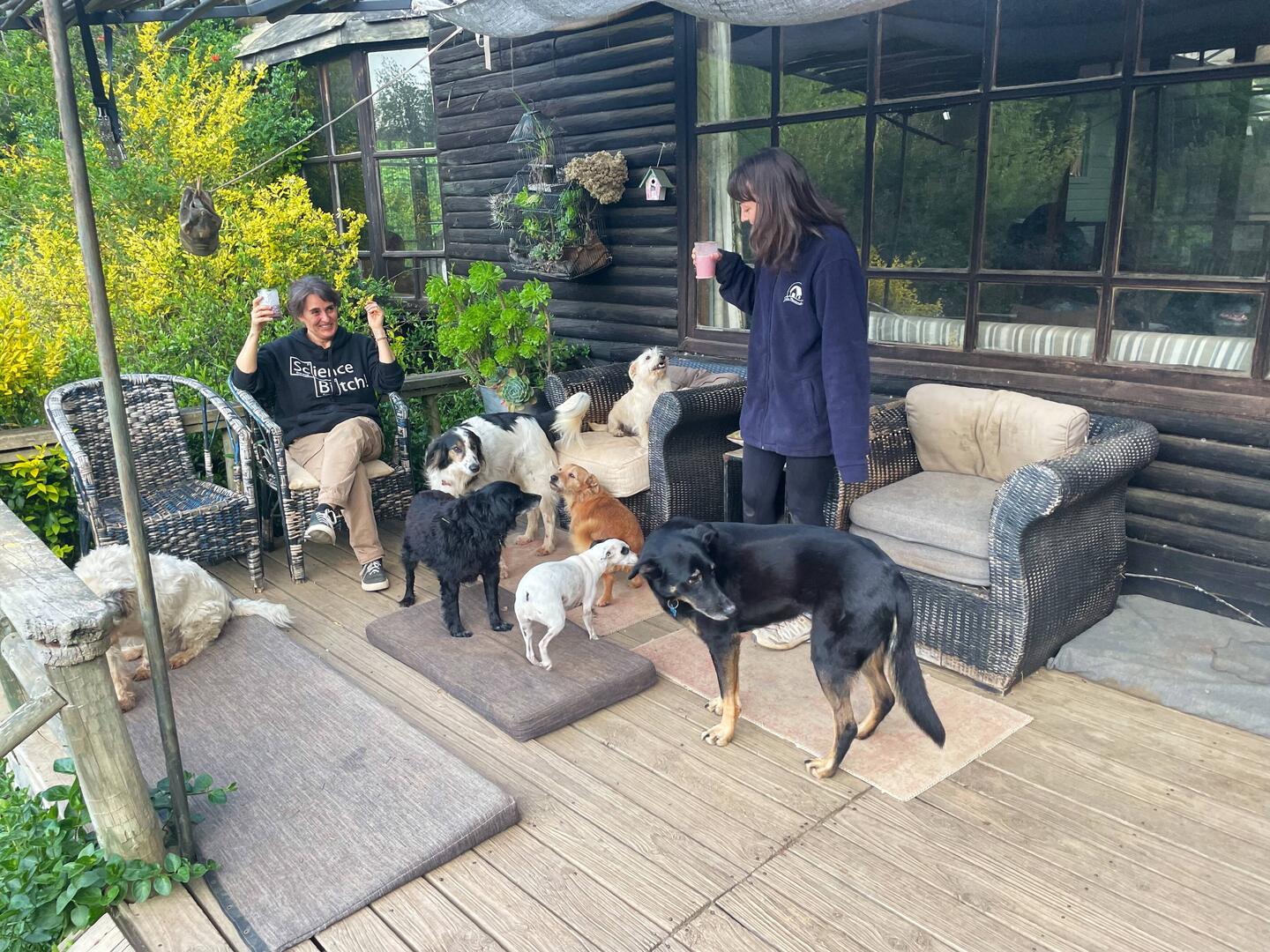 Daniela, die Hunde und ich