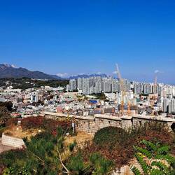 Look at all those new-construction cranes!