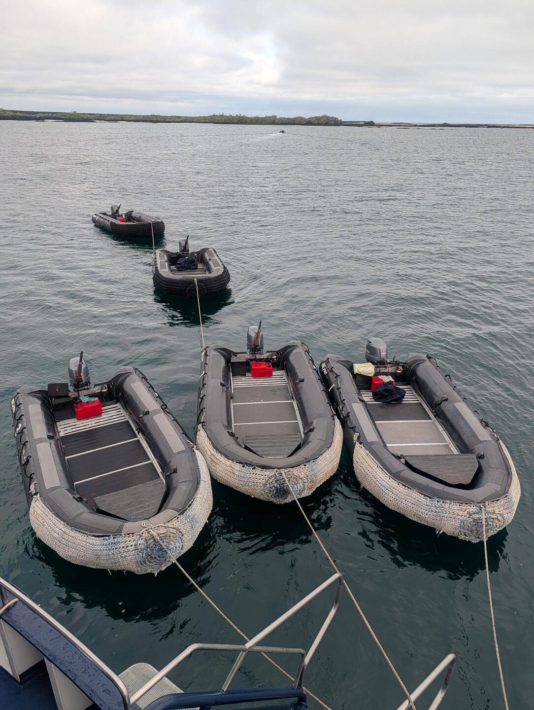 The zodiacs that take us everywhere.