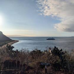 We took a hike to the highpoint of the island