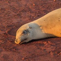 So comfortable on the warm sand