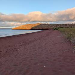 We had the beach to ourselves