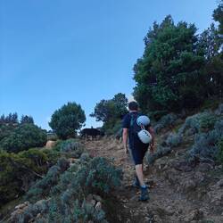 Du kommst hier nicht vorbei🐮