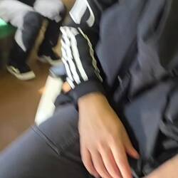 Train to koiwoi farm, through the forest