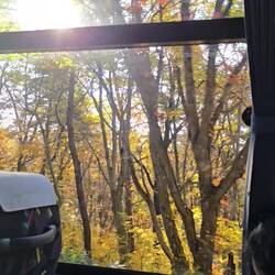 Bus ride to lake Towada